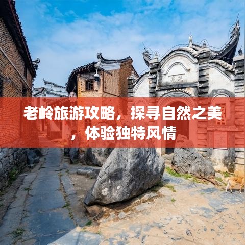 老嶺旅游攻略，探尋自然之美，體驗(yàn)獨(dú)特風(fēng)情