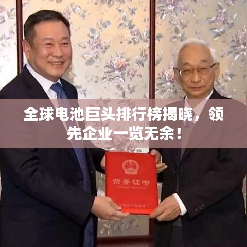 全球電池巨頭排行榜揭曉，領(lǐng)先企業(yè)一覽無(wú)余！