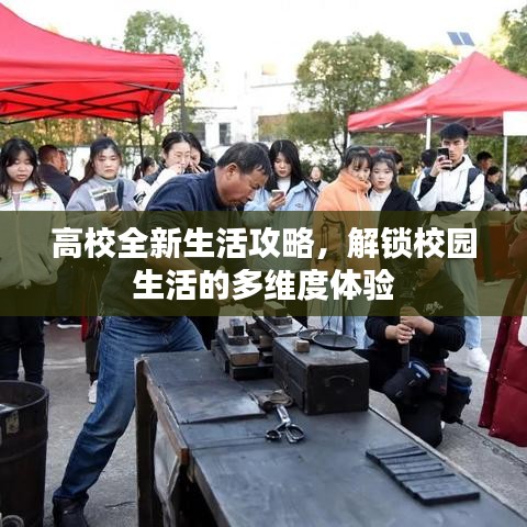 高校全新生活攻略，解鎖校園生活的多維度體驗(yàn)