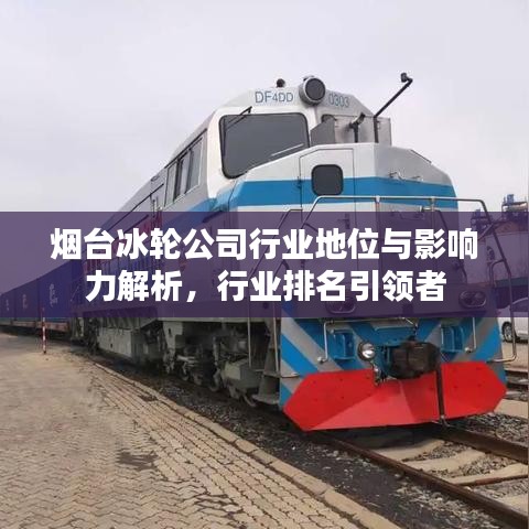 煙臺冰輪公司行業(yè)地位與影響力解析，行業(yè)排名引領(lǐng)者