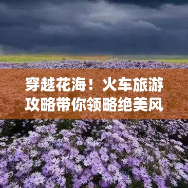 穿越花海！火車旅游攻略帶你領(lǐng)略絕美風(fēng)景之旅