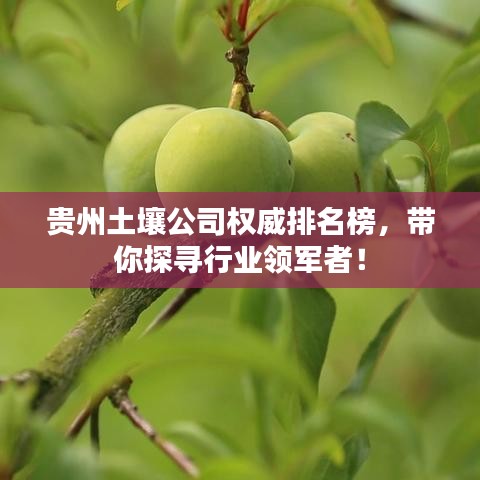 貴州土壤公司權威排名榜，帶你探尋行業(yè)領軍者！