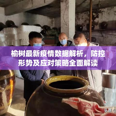 榆樹最新疫情數(shù)據(jù)解析，防控形勢及應(yīng)對策略全面解讀