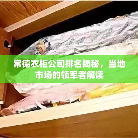 常德衣柜公司排名揭秘，當(dāng)?shù)厥袌龅念I(lǐng)軍者解讀