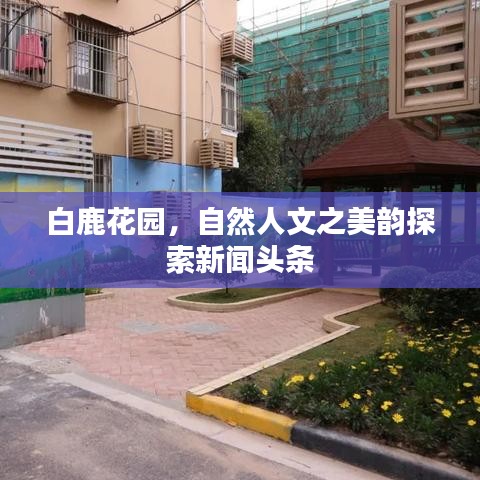 白鹿花園，自然人文之美韻探索新聞頭條