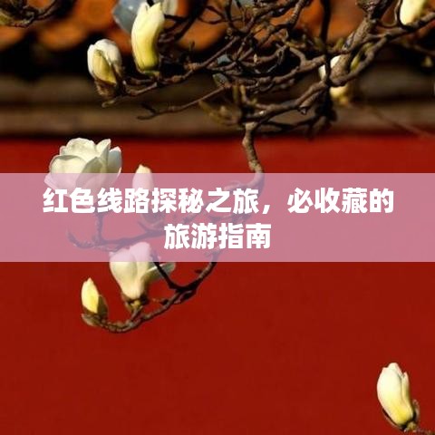 紅色線路探秘之旅，必收藏的旅游指南