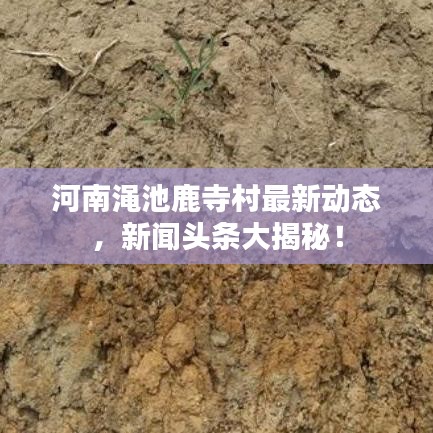 河南澠池鹿寺村最新動(dòng)態(tài)，新聞?lì)^條大揭秘！