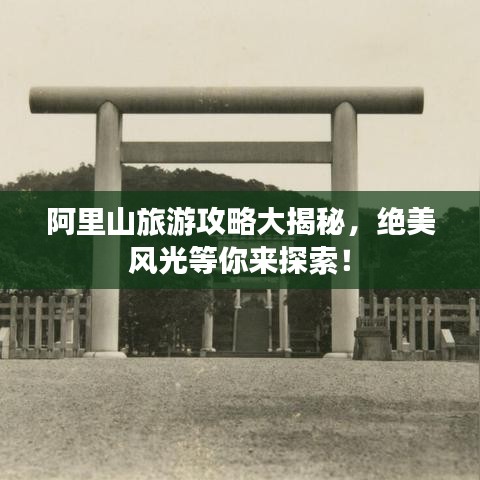阿里山旅游攻略大揭秘，絕美風(fēng)光等你來探索！
