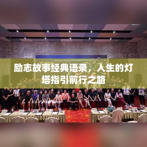 見縫就鉆 第2頁