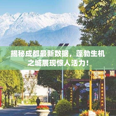 揭秘成都最新數(shù)據(jù)，蓬勃生機(jī)之城展現(xiàn)驚人活力！