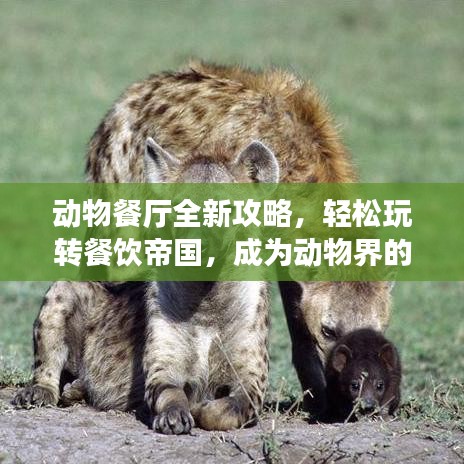 動物餐廳全新攻略，輕松玩轉(zhuǎn)餐飲帝國，成為動物界的餐飲霸主！