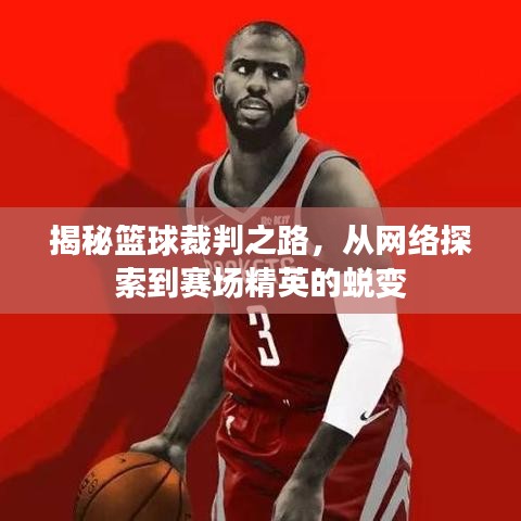 揭秘籃球裁判之路，從網(wǎng)絡(luò)探索到賽場(chǎng)精英的蛻變