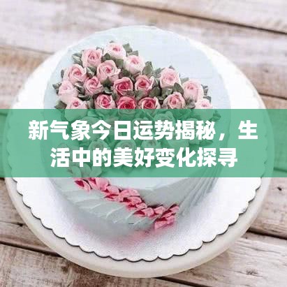 新氣象今日運勢揭秘，生活中的美好變化探尋