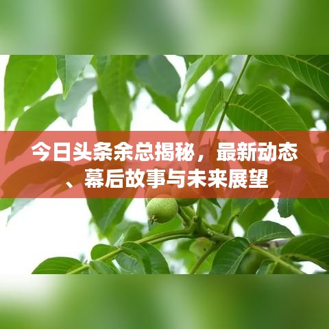 今日頭條余總揭秘，最新動(dòng)態(tài)、幕后故事與未來展望