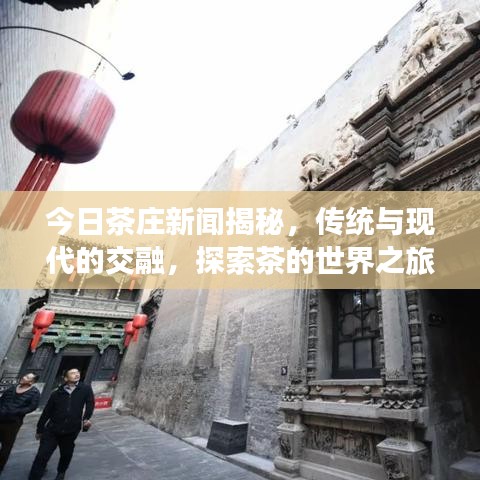 今日茶莊新聞揭秘，傳統(tǒng)與現(xiàn)代的交融，探索茶的世界之旅