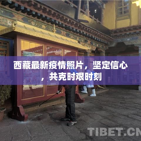 西藏最新疫情照片，堅定信心，共克時艱時刻