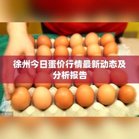 徐州今日蛋價(jià)行情最新動態(tài)及分析報(bào)告