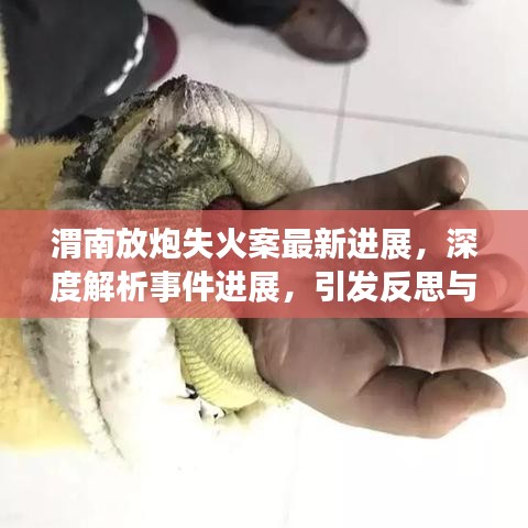 渭南放炮失火案最新進(jìn)展，深度解析事件進(jìn)展，引發(fā)反思與關(guān)注