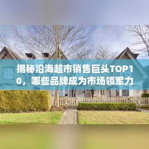 揭秘沿海超市銷售巨頭TOP10，哪些品牌成為市場領(lǐng)軍力量？