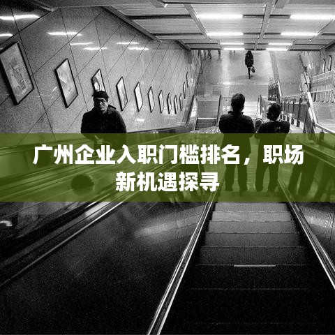 廣州企業(yè)入職門檻排名，職場新機(jī)遇探尋