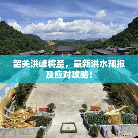 韶關洪峰將至，最新洪水預報及應對攻略！