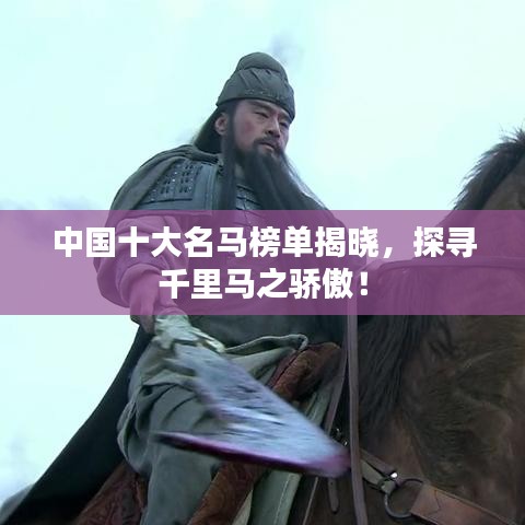 中國十大名馬榜單揭曉，探尋千里馬之驕傲！