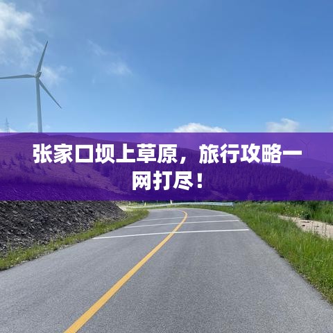 張家口壩上草原，旅行攻略一網(wǎng)打盡！