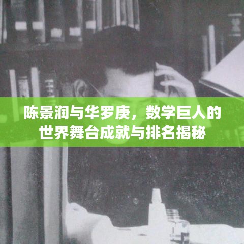 陳景潤與華羅庚，數(shù)學(xué)巨人的世界舞臺成就與排名揭秘