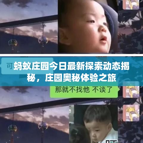 螞蟻莊園今日最新探索動態(tài)揭秘，莊園奧秘體驗之旅