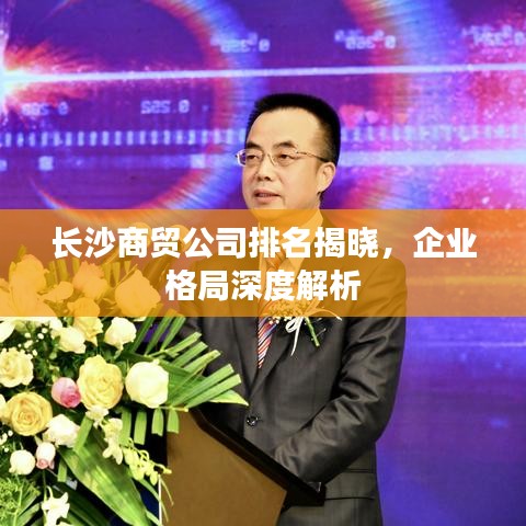 長沙商貿(mào)公司排名揭曉，企業(yè)格局深度解析