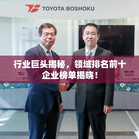 行業(yè)巨頭揭秘，領(lǐng)域排名前十企業(yè)榜單揭曉！