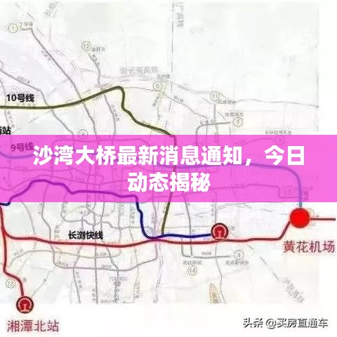 沙灣大橋最新消息通知，今日動態(tài)揭秘