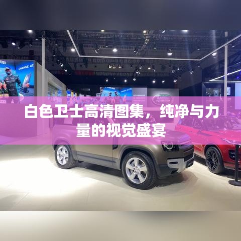 白色衛(wèi)士高清圖集，純凈與力量的視覺盛宴