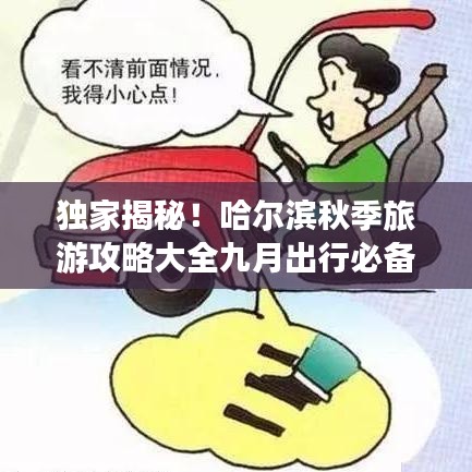 2025年5月1日 第14頁(yè)