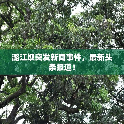 潞江壩突發(fā)新聞事件，最新頭條報(bào)道！