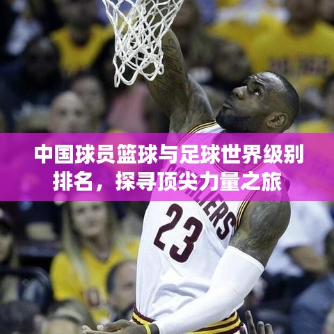 中國球員籃球與足球世界級別排名，探尋頂尖力量之旅