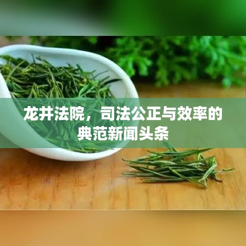 龍井法院，司法公正與效率的典范新聞頭條