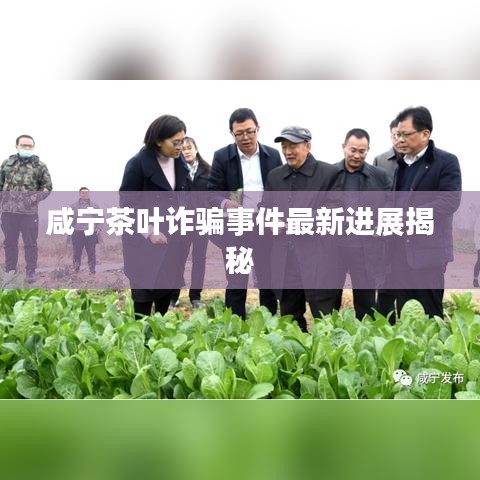 咸寧茶葉詐騙事件最新進展揭秘