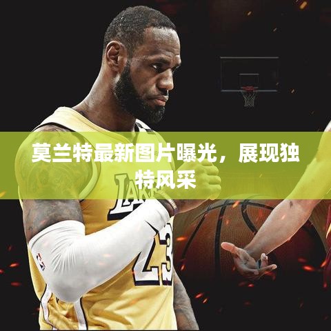 莫蘭特最新圖片曝光，展現(xiàn)獨(dú)特風(fēng)采