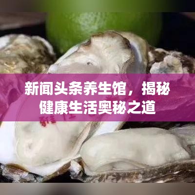 新聞?lì)^條養(yǎng)生館，揭秘健康生活奧秘之道