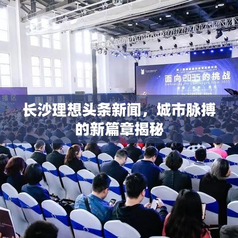 長(zhǎng)沙理想頭條新聞，城市脈搏的新篇章揭秘