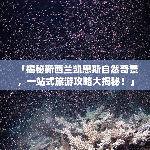 2025年5月2日 第22頁(yè)