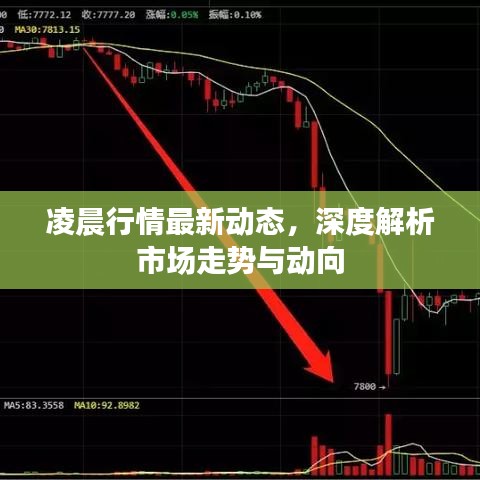 凌晨行情最新動態(tài)，深度解析市場走勢與動向