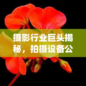 攝影行業(yè)巨頭揭秘，拍攝設(shè)備公司排名榜單重磅出爐！