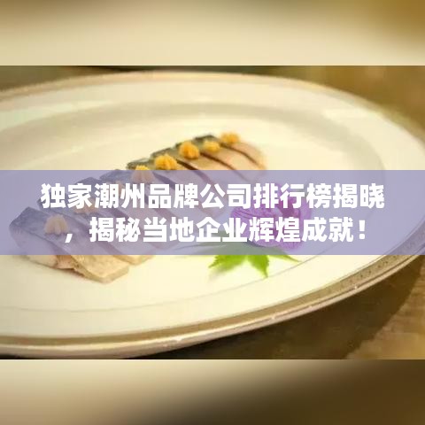獨家潮州品牌公司排行榜揭曉，揭秘當地企業(yè)輝煌成就！