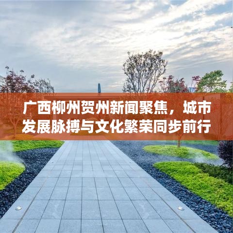 廣西柳州賀州新聞聚焦，城市發(fā)展脈搏與文化繁榮同步前行