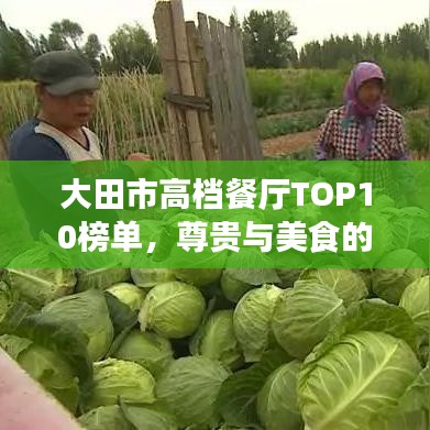 大田市高檔餐廳TOP10榜單，尊貴與美食的完美交融體驗(yàn)