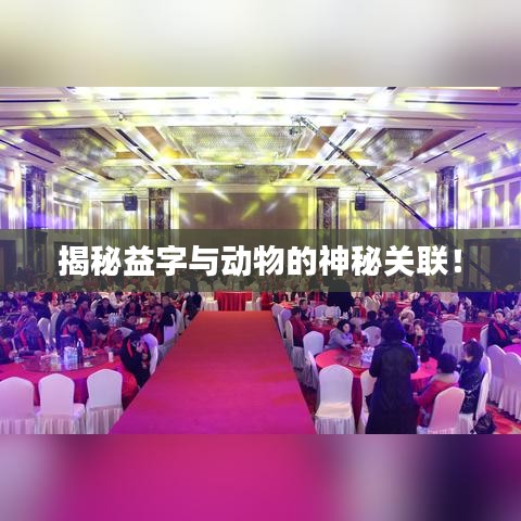 揭秘益字與動(dòng)物的神秘關(guān)聯(lián)！