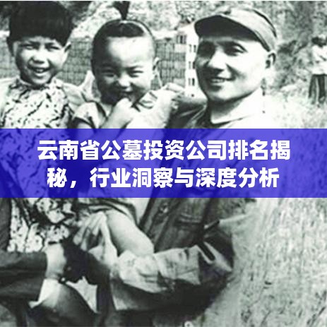 云南省公墓投資公司排名揭秘，行業(yè)洞察與深度分析