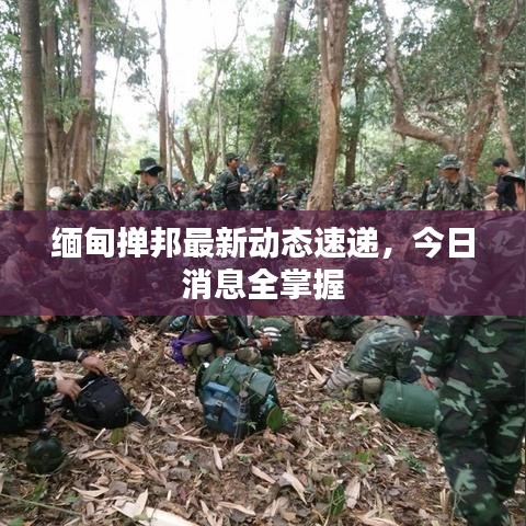 緬甸撣邦最新動(dòng)態(tài)速遞，今日消息全掌握